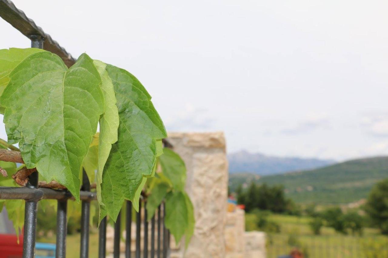 Stone House Skrivena Villa Pridraga Eksteriør bilde